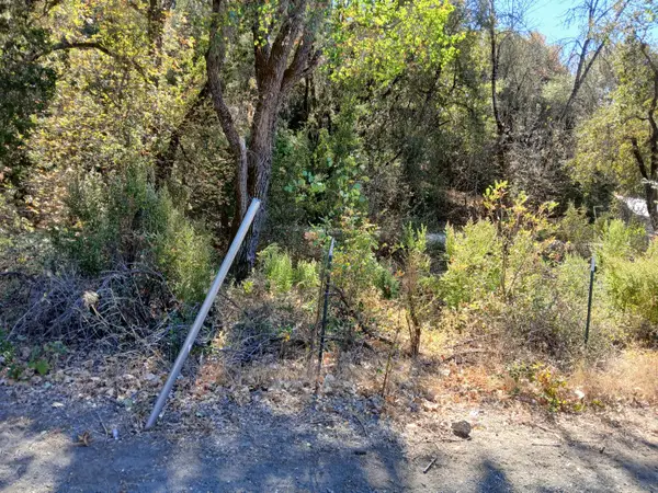 12405 Contini Mine Road, Jackson, CA 95642