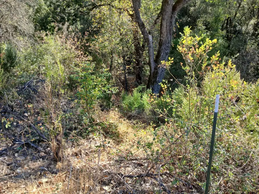 12405 Contini Mine Road, Jackson, CA 95642 - #2