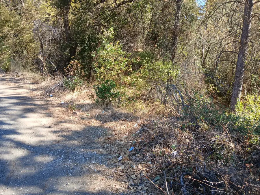 12405 Contini Mine Road, Jackson, CA 95642 - #3