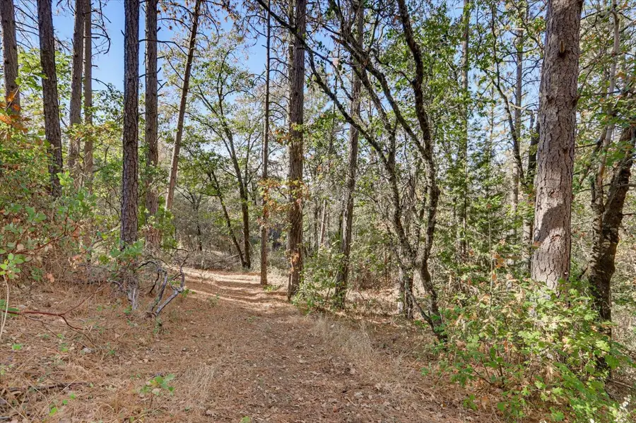 10531 Combie Road, Auburn, CA 95602 - #3