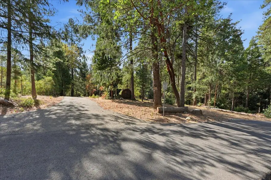 1860 Henrys Place, Camino, CA 95709 - #2