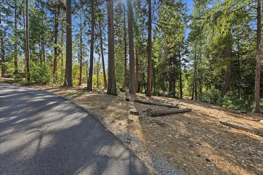 1860 Henrys Place, Camino, CA 95709 - #3