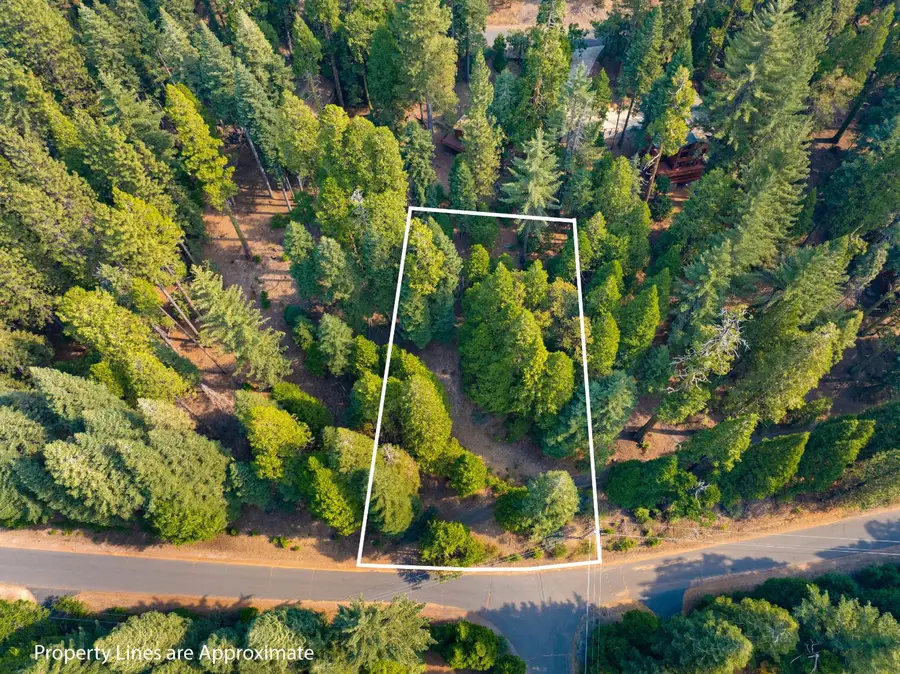 2875 Shoshone Drive, Camp Connell, CA 95223 - #2