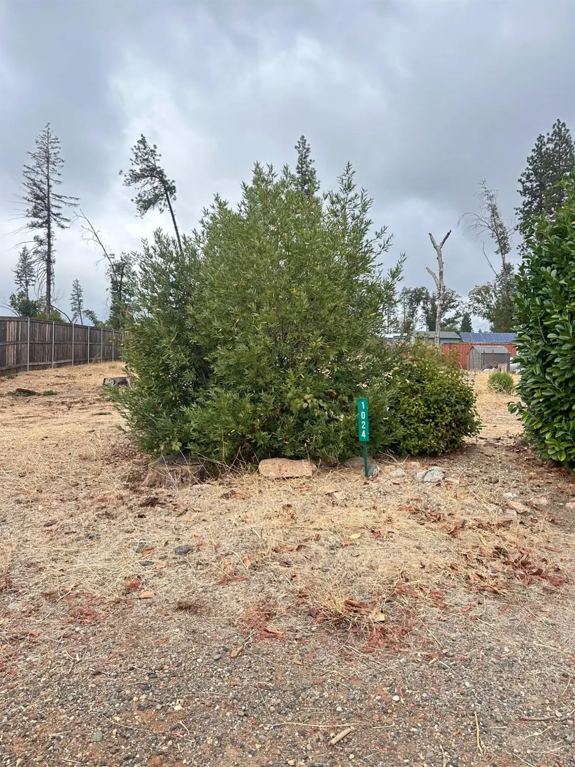 1024 Maple Park Dr, Paradise, CA 95969 - #1