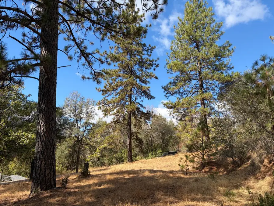 860 Poverty Hill Drive, Placerville, CA 95667 - #2