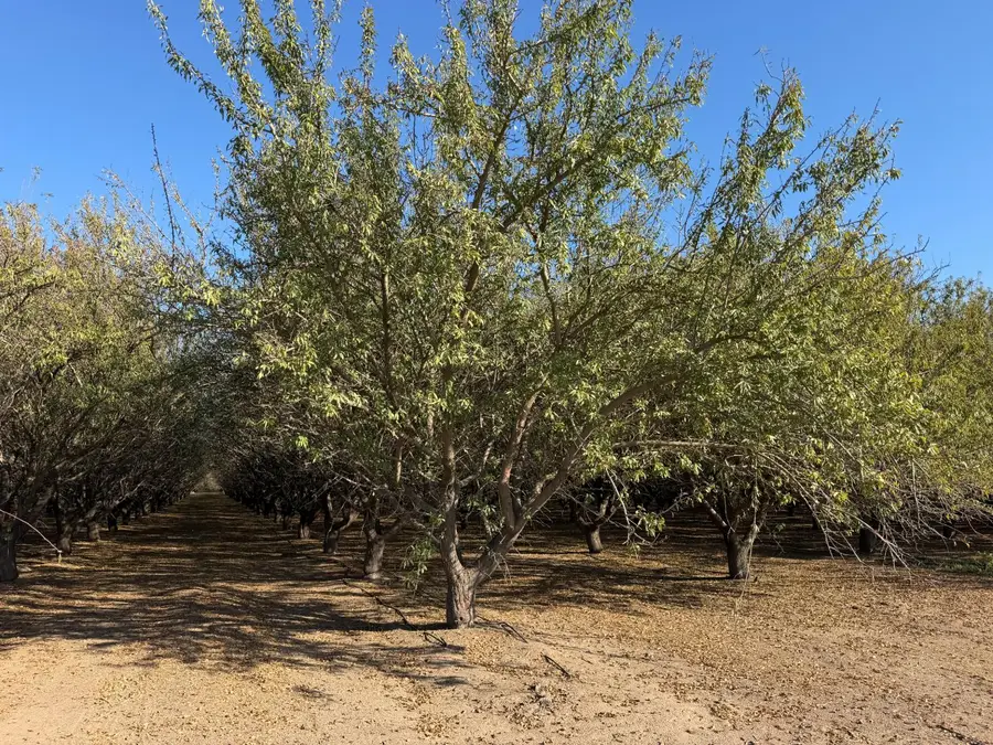 0 S Walnut Road, Turlock, CA 95380 - #3