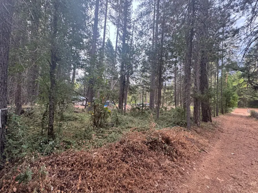 0 Jarvis Road, Foresthill, CA 95631 - #2