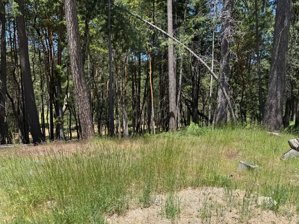20955 Todd Valley Road, Foresthill, CA 95631 - #1