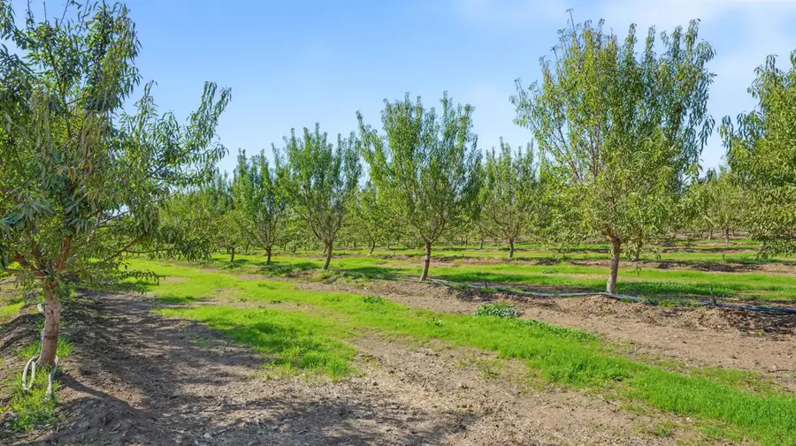 18321 Los Cerritos Road, Snelling, CA 95369 - #3