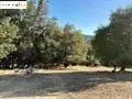 21858 Phoenix Lake Road, Sonora, CA 95370