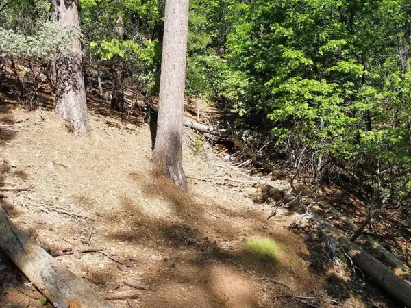 23804 S Oxbow Lane, Sonora, CA 95370