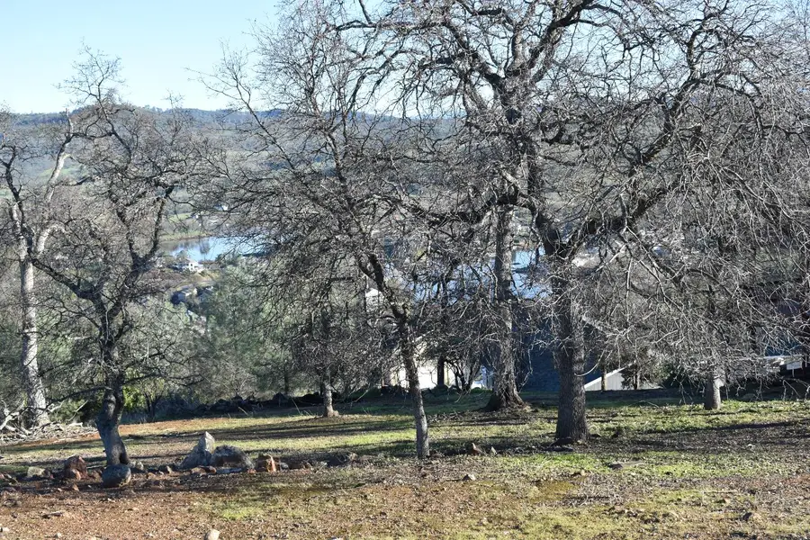 5079 Fong Drive, Copperopolis, CA 95228 - #2