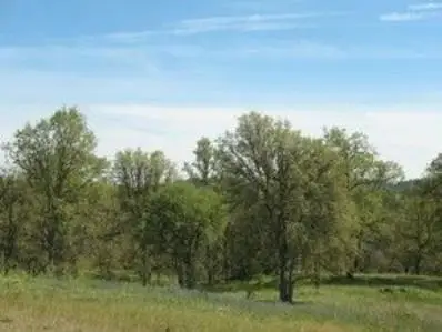 361 361 Hawkridge Drive, Copperopolis, CA 95228 - #2