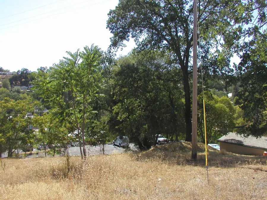 0 Raspberry Lane, Angels Camp, CA 95222 - #2