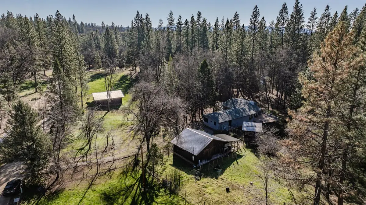 398 Rhoda Niderost Lane, West Point, CA 95255 - #1