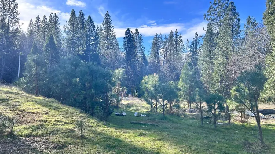 2385 Wagner Road, Mokelumne Hill, CA 95245 - Image #2