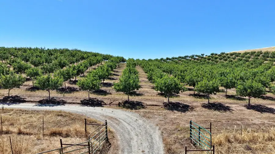 13638 E Shepherd Avenue, Clovis, CA 93619 - #2