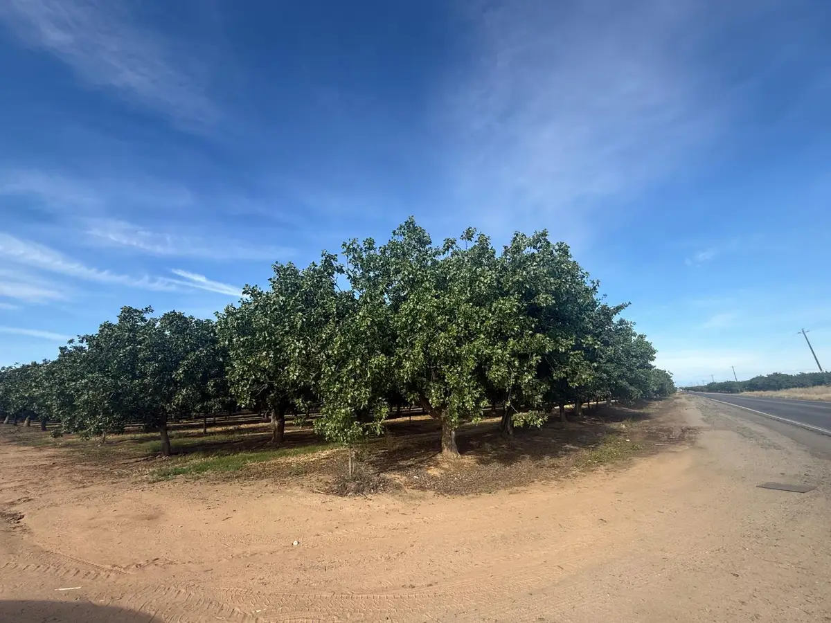20349 Brightwood Road, Madera, CA 93638 - #1