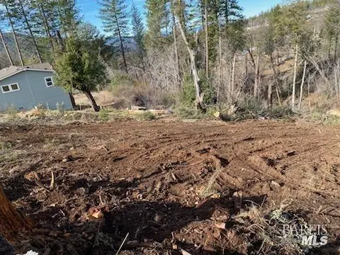 11424 Pine Summit Court, Cobb, CA 95426 - Image #3