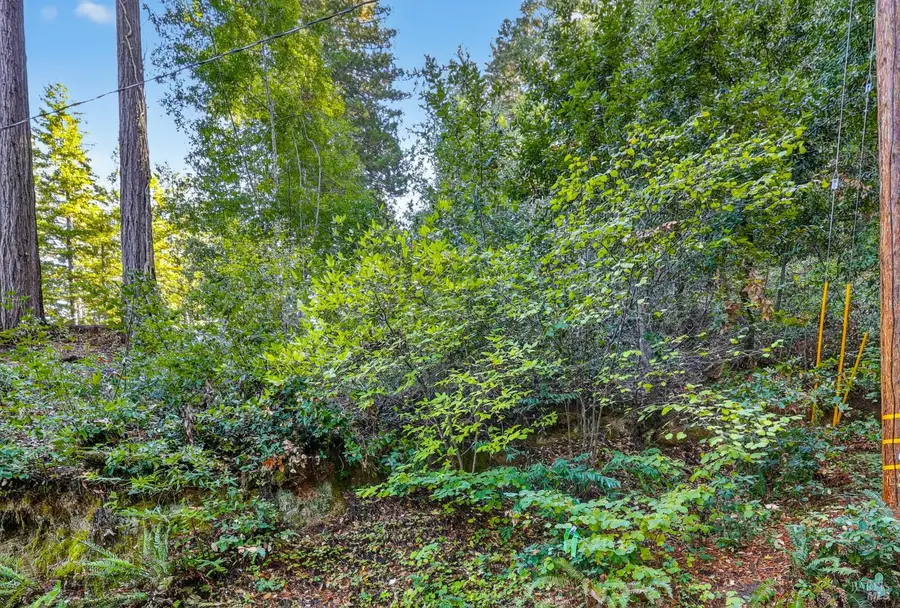 11480 Terrace Drive, Forestville, CA 95436 - Image #2