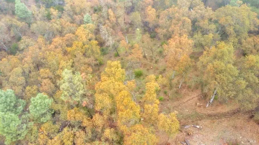 15386 Palm Avenue, Clearlake, CA 95422 - Image #2