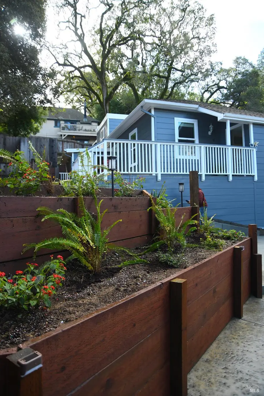 11 Jessup Street, San Rafael, CA 94901 - Image #2