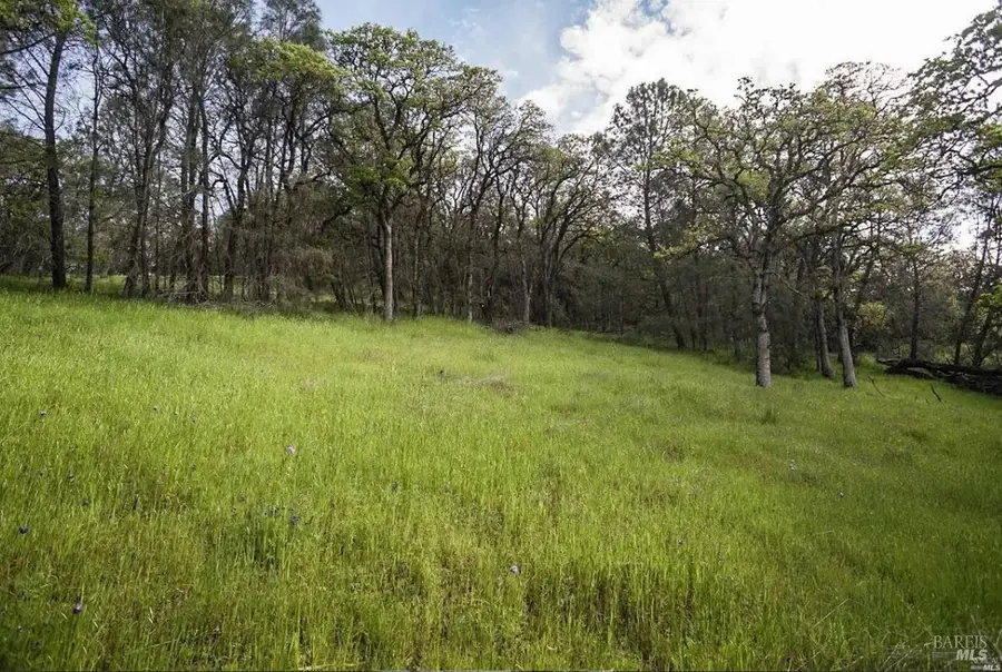 9700 E Highway 20 None, Clearlake Oaks, CA 95423 - #3