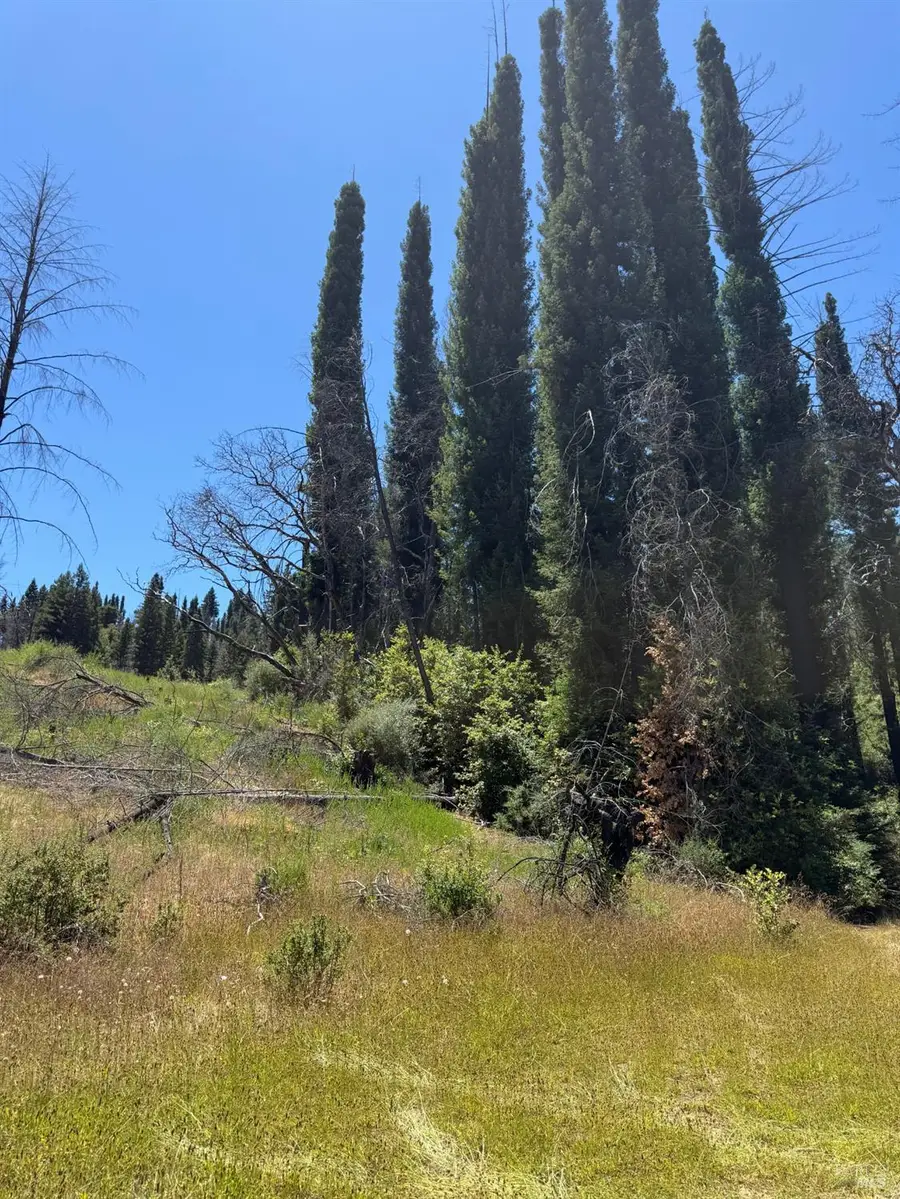 8158 Mill Creek Road, Healdsburg, CA 95448 - #2
