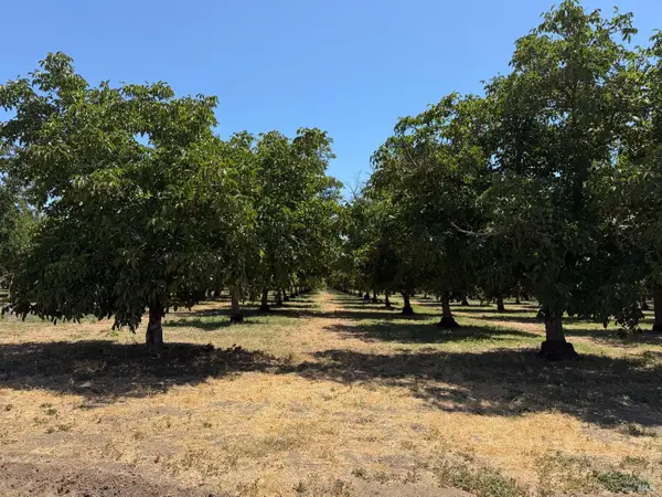 0 Putah Creek Road, Winters, CA 95694