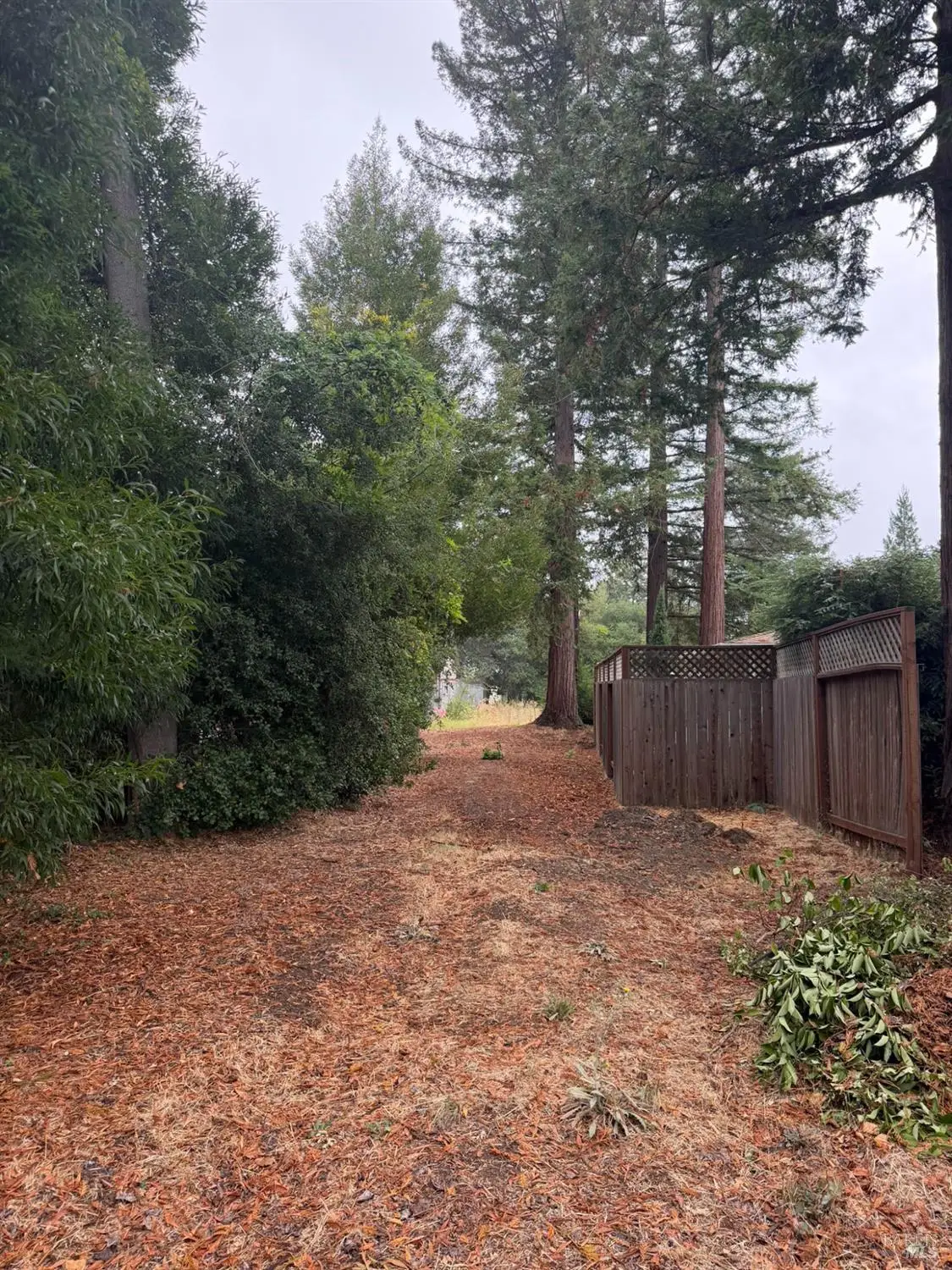 1741 Pine Street, Napa, CA 94559 - #1