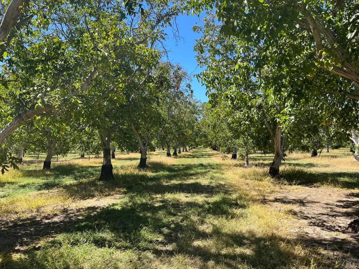 9029 Gaddini Road, Winters, CA 95694 - #1