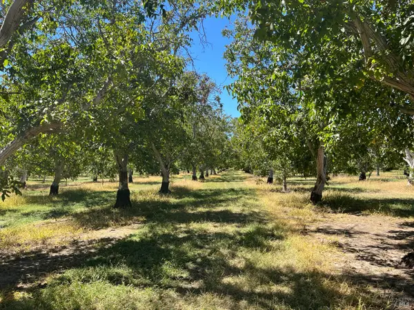 9029 Gaddini Road, Winters, CA 95694