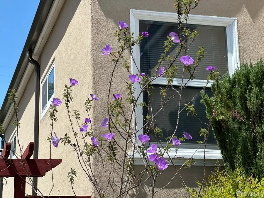 254 La Cruz Avenue, Millbrae, CA 94030 - #2