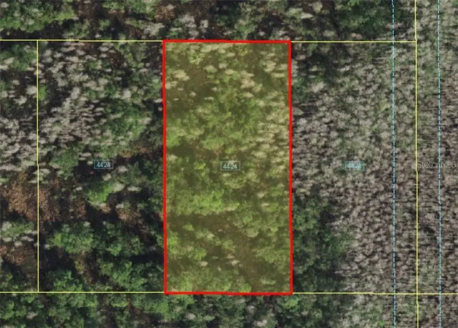 Holopaw Groves Road, Saint Cloud, FL 34773 - Image #2