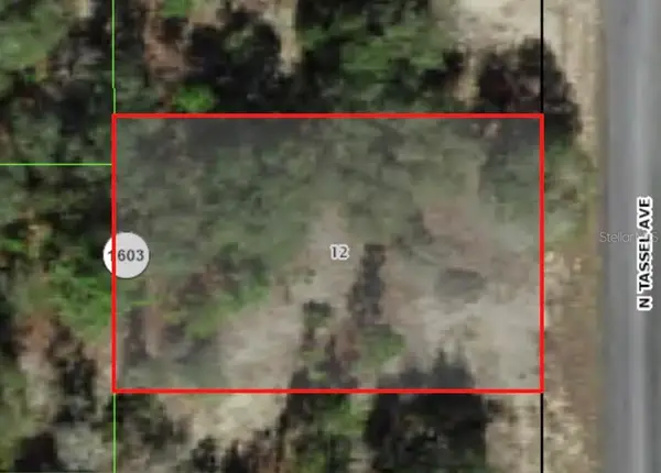 6706 N Tassel Terrace, CITRUS SPRINGS, FL 34433