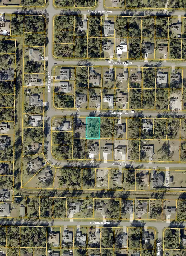 Allsup Terrace, NORTH PORT, FL 34286