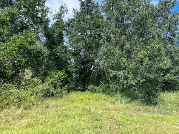 5425 NW Oak Hill Avenue, ARCADIA, FL 34266