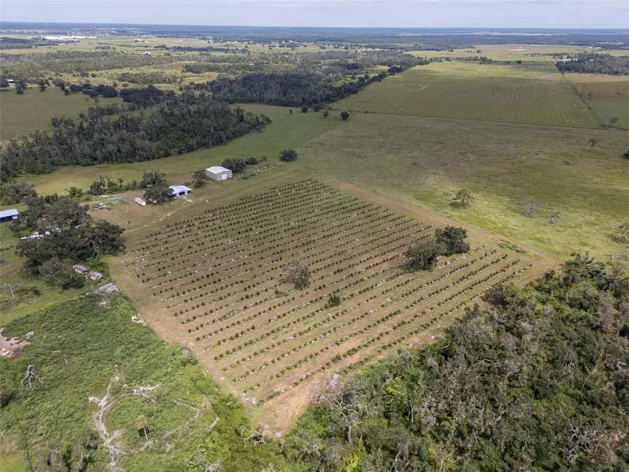 32715 Singletary Road, Myakka City, FL 34251 - Image #2