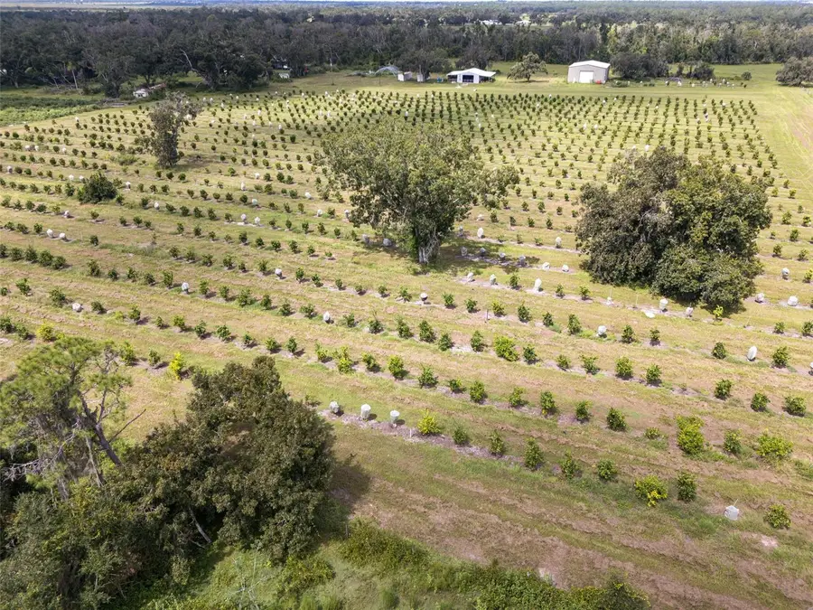 32715 Singletary Road, Myakka City, FL 34251 - Image #3