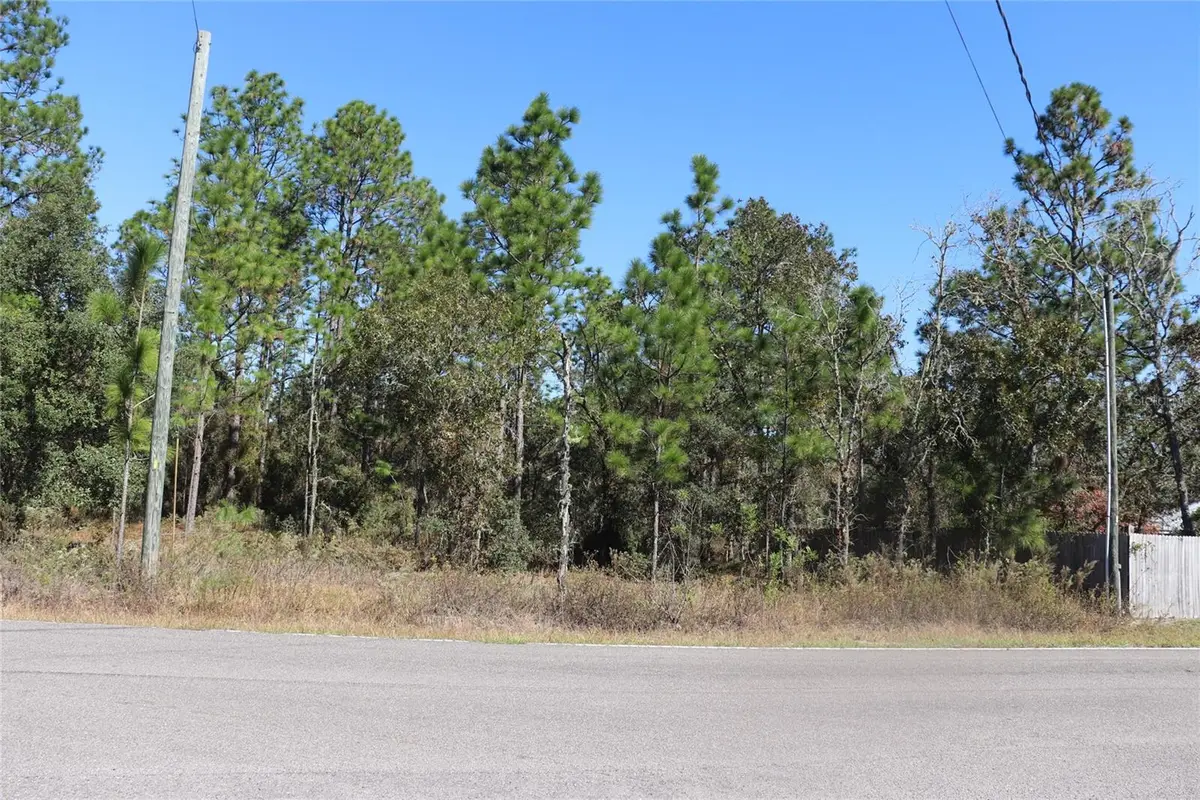 TBD SW Indian Hill Drive, Dunnellon, FL 34431 - Image #1