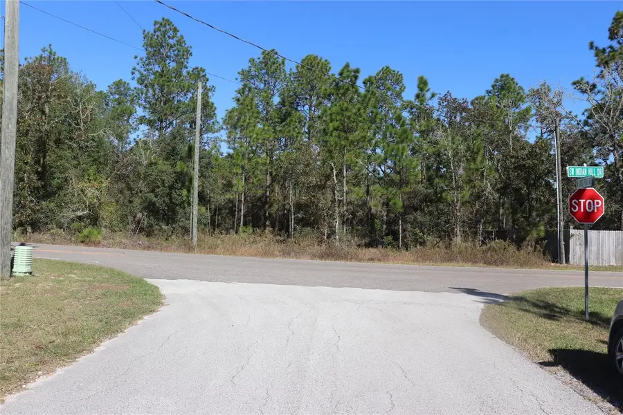 TBD SW Indian Hill Drive, Dunnellon, FL 34431 - Image #3