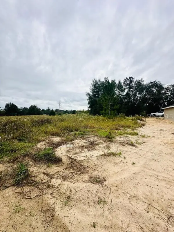 SW 28th Lane, Ocala, FL 34473 - Image #3