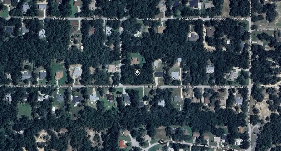 1255 E Bluebird Court, Hernando, FL 34442 - Image #2
