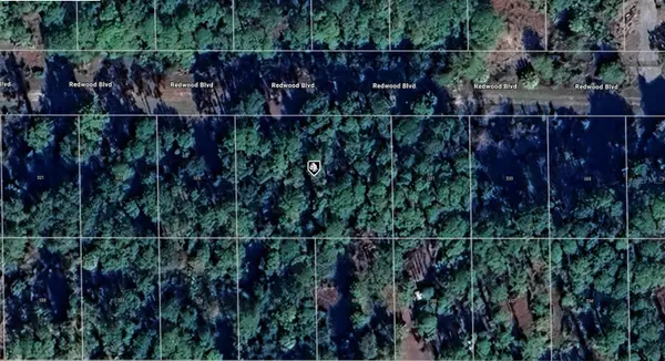 329 Redwood Boulevard, GEORGETOWN, FL 32139