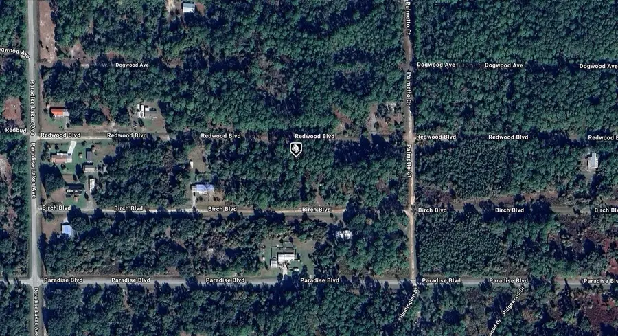 329 Redwood Boulevard, Georgetown, FL 32139 - Image #2