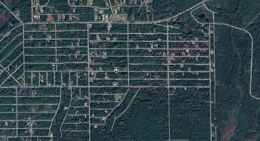 329 Redwood Boulevard, Georgetown, FL 32139 - Image #3