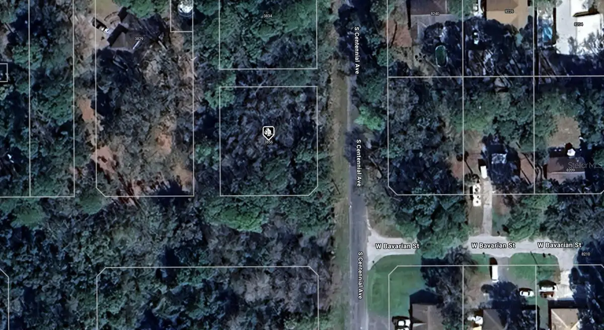3856 S Centennial Avenue, Homosassa, FL 34448 - Image #1