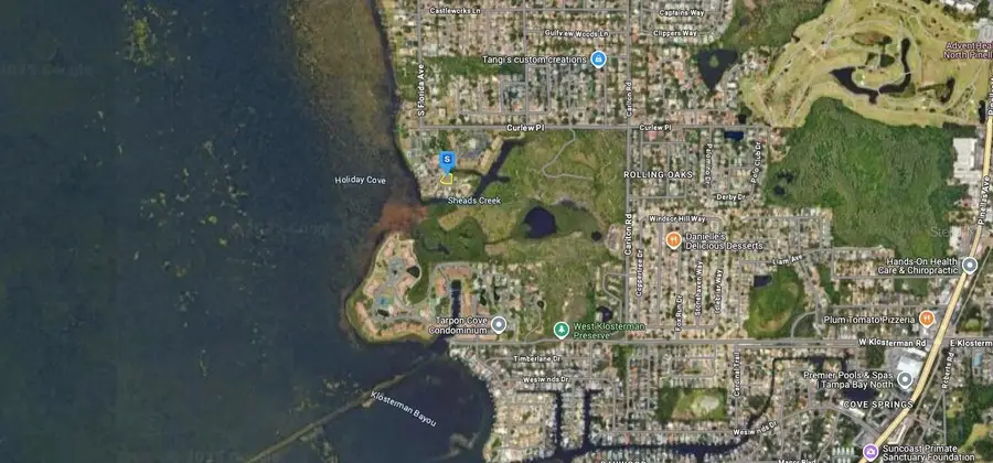 1137 Florida Avenue, Tarpon Springs, FL 34689 - Image #3