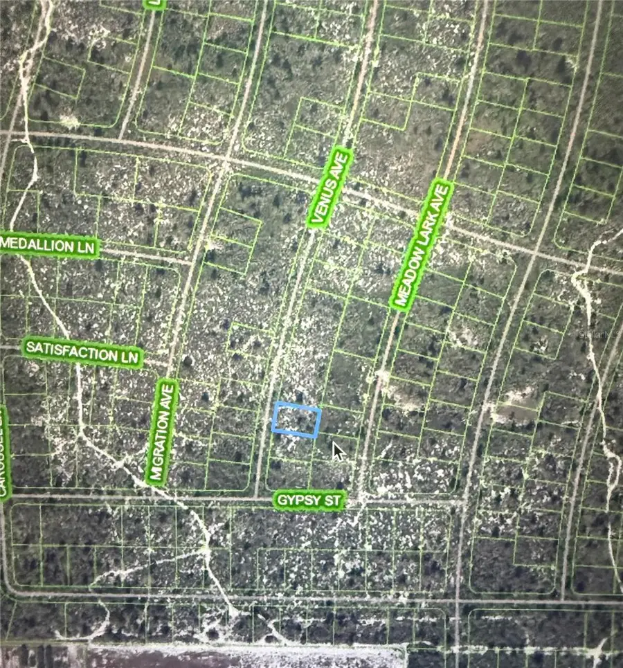 548 Venus Avenue, Lake Placid, FL 33852 - Image #3