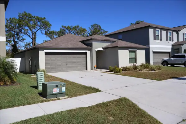 12963 Wildflower Meadow Drive, RIVERVIEW, FL 33579